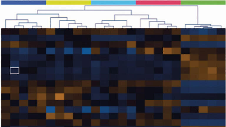 New Platform-Independent Data Analysis Software with Build-in Chemometric Tools for the Processing and Statistical Analysis of Comprehensive Two-Dimensional Gas Chromatography Data Sets