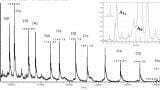 Heterogeneity of Glycated Haemoglobin as Revealed by Chromatography, Isoelectric Focusing and Mass Spectrometry: The A1c Test Standardisation and Assessment of Individual Variabilities in Haemoglobin Glycation