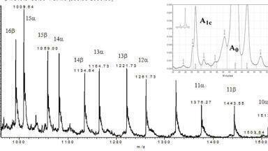 Heterogeneity of Glycated Haemoglobin as Revealed by Chromatography, Isoelectric Focusing and Mass Spectrometry: The A1c Test Standardisation and Assessment of Individual Variabilities in Haemoglobin Glycation