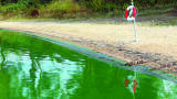 Phosphate in Groundwater and Surface Water A Rapid and Reliable Determination Method using the Photometric Spectroquant® Test