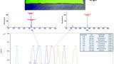 More than One Way to Hit the Bullseye: Lesser Known Ways to Use Direct Analysis in Real Time (DART) Mass Spectrometry