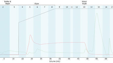 Development of a novel combined IEX-RP chromatographic process for the purification of bivalirudin