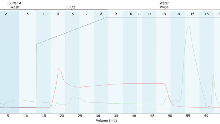 Development of a novel combined IEX-RP chromatographic process for the purification of bivalirudin