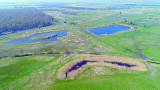 The role of monitoring in Natural Flood Management
