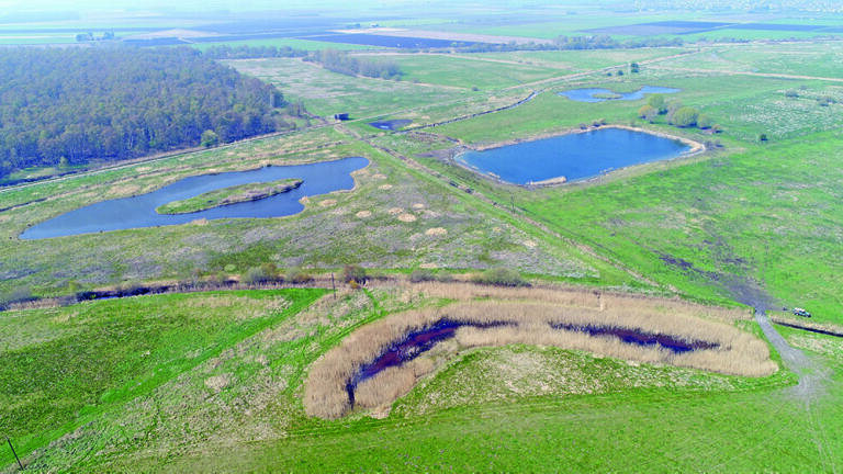 The role of monitoring in Natural Flood Management