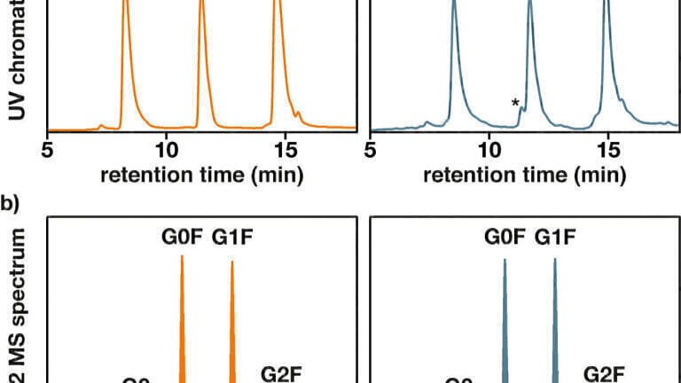 On-column digestion of mAbs for automated middle-level analysis by LC-MS