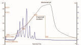 Comprehensive Characterisation of Monoclonal Antibodies Using Charge Variant Analysis Coupled to High-Resolution Mass Spectrometry