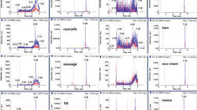 Determination of Chloramphenicol by QuEChERS and HPLC-MS/MS combination in matrices of animal origin