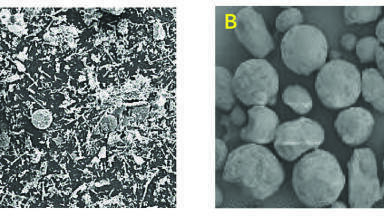 Analysis of Fenfluramine and Norfenfluramine in Mouse Brain and Cerebellum by Liquid Chromatography Tandem Mass Spectrometry using a Novel Solid-Supported Liquid Extraction