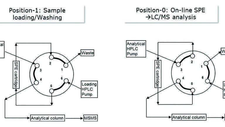 Online Solid Phase Extraction and LC/MS Analysis of Thyroid Hormones in Human Serum