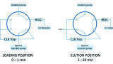 Elimination of the Sample Solvent Effect when Analysing Water Solutions of Basic Peptides by HILIC