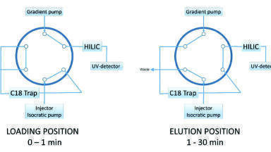 Elimination of the Sample Solvent Effect when Analysing Water Solutions of Basic Peptides by HILIC