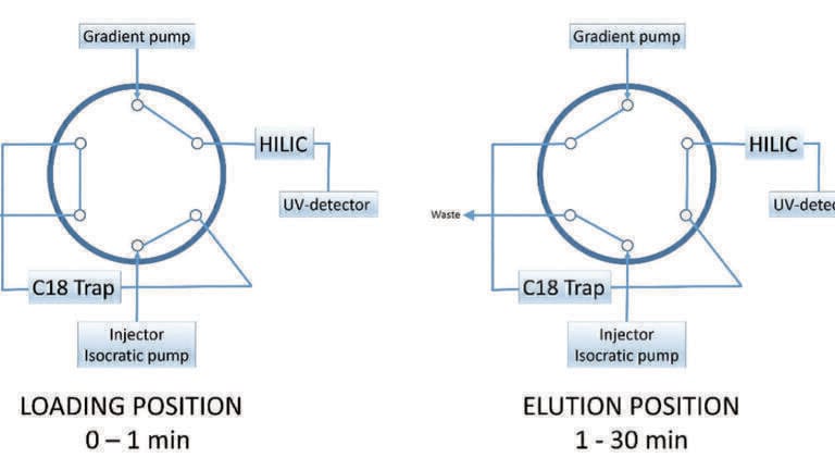 Elimination of the Sample Solvent Effect when Analysing Water Solutions of Basic Peptides by HILIC