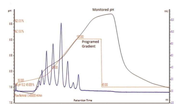 Comprehensive Characterisation of Monoclonal Antibodies Using Charge Variant Analysis Coupled to High-Resolution Mass Spectrometry