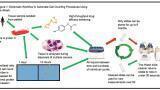 Automated Cell Counting Shouldn’t Cost the Earth