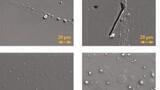 How Glass Vial Quality Affects Data Accuracy