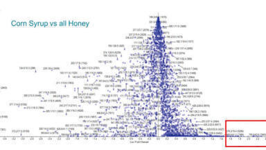 Nontargeted Omics Approach to Characterise and Profile Adulterants in Honey