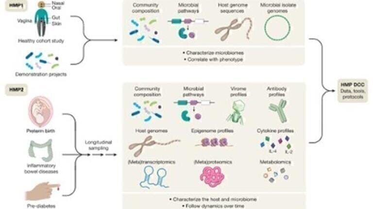 Automating for Multi-omics Workflows for drug discovery and toxicology