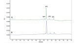 Ultrahigh Sensitivity Analysis of Adeno-associated Virus (AAV) Capsid Proteins by Sodium Dodecyl Sulphate Capillary Gel Electrophoresis