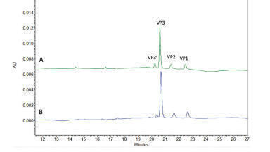 Ultrahigh Sensitivity Analysis of Adeno-associated Virus (AAV) Capsid Proteins by Sodium Dodecyl Sulphate Capillary Gel Electrophoresis
