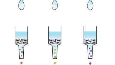 Evaluation of Mixed-Mode Ion Exchange SPE for the Extraction of Opioids from Human Urine by UHPLC-MS/MS