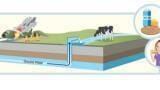 New Concerns about PFAS in Food: The Convergence of Environmental Contamination and Food Safety