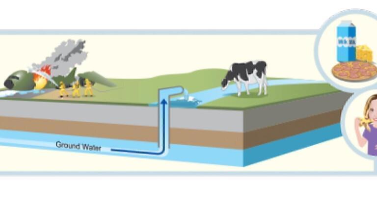 New Concerns about PFAS in Food: The Convergence of Environmental Contamination and Food Safety