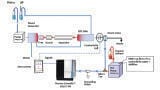 Leveraging Ion Chromatography-Mass Spectrometry for the Impurity Analysis of a Small Organic Acid