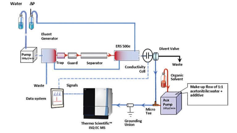 Leveraging Ion Chromatography-Mass Spectrometry for the Impurity Analysis of a Small Organic Acid