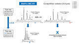Fast Analysis of Biomolecules by Using Smaller and Innovative Particles