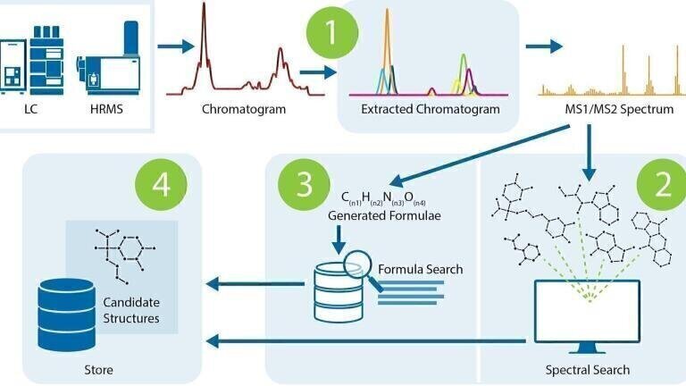 What’s in my LC/MS spectra?