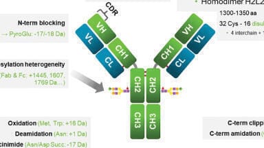 CZE: Ultrafast Charge Variant Analysis for Next-Generation Antibody Therapeutics