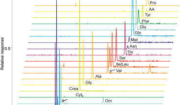 Capillary Electrophoresis-Mass Spectrometry for Metabolomics: Addressing Perceived Misconceptions