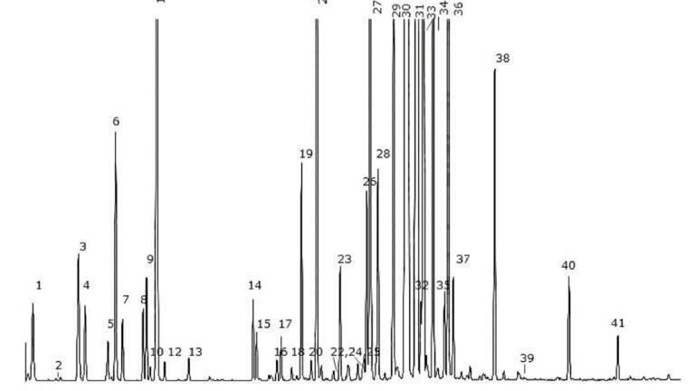 Novel Coiled Microextraction Sampling Device used for Field Sampling of Illicit Drugs of Abuse and Analysis by Micro Gas Chromatograph/Mass Spectrometer