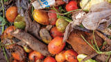 A comprehensive study on the effect of wasted food on greenhouse gas emissions