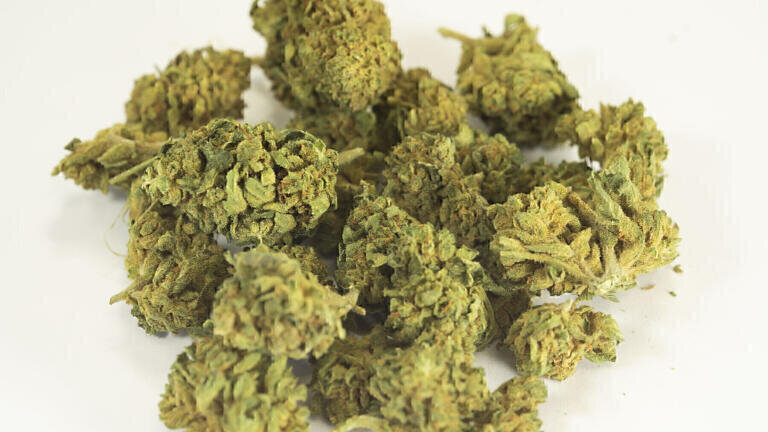 Extracting active ingredients from cannabis plants