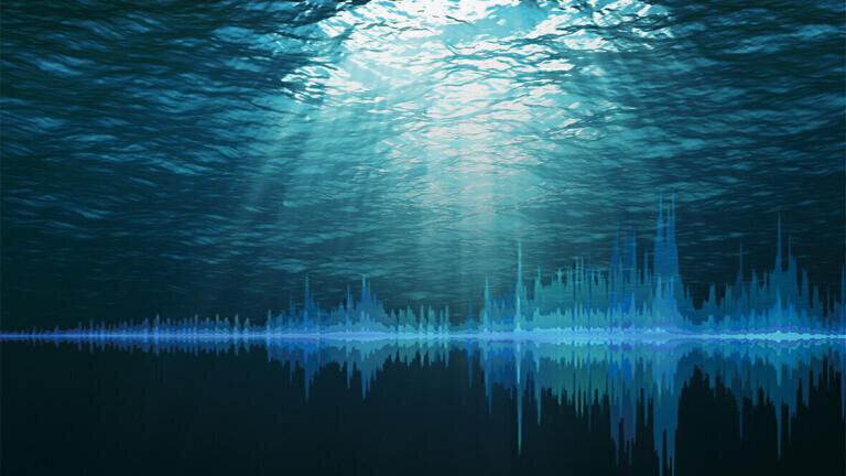 Monitoring the seabed - the subtle distinction