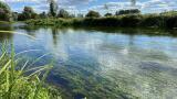 Environment Act 2021 - river monitoring requirements