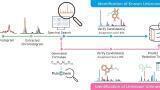 Navigating the Complexities of E&L Analysis in Medical Devices