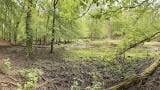 Upcycling sensors for sustainable nature management