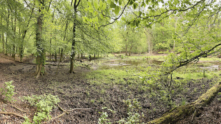 Upcycling sensors for sustainable nature management