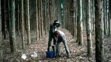 How to prepare for the EU Soil Monitoring Law