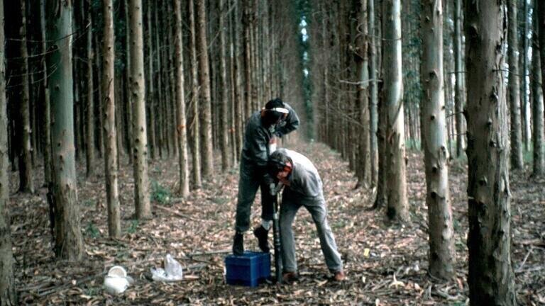 How to prepare for the EU Soil Monitoring Law