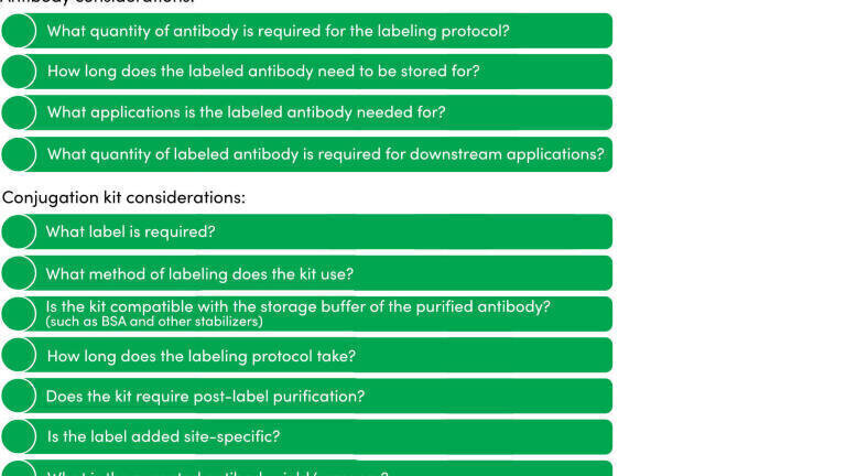 Enhancing immunoassay design through antibody conjugation kits