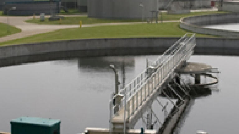 A Novel Biological Approach for Treatment of Stripped-Sour Water