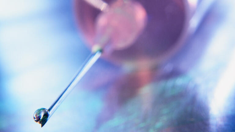 A New Method to Quickly Detect and Identify Differences between Samples ...