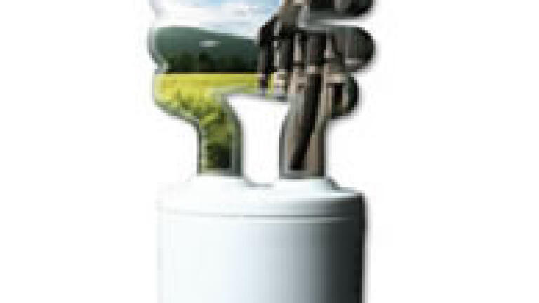 Determination of Total FAME and Linolenic Acid Methyl Ester in Pure Biodiesel (B100) by GC in Compliance with EN 14103
