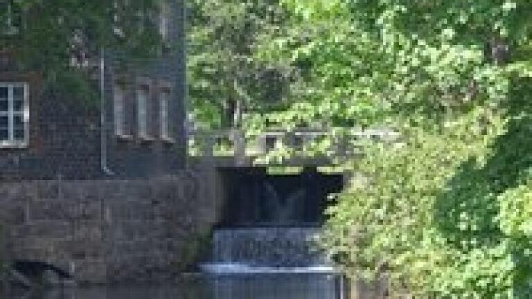 Electrophoresis enables quantitative analysis of river pollution