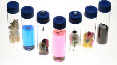 A new approach for sample adsorption and extraction of volatile and non-volatile components