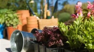 LC-MS-MS reveals plant response to ABA